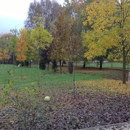 בית הארחה Bb Boutique